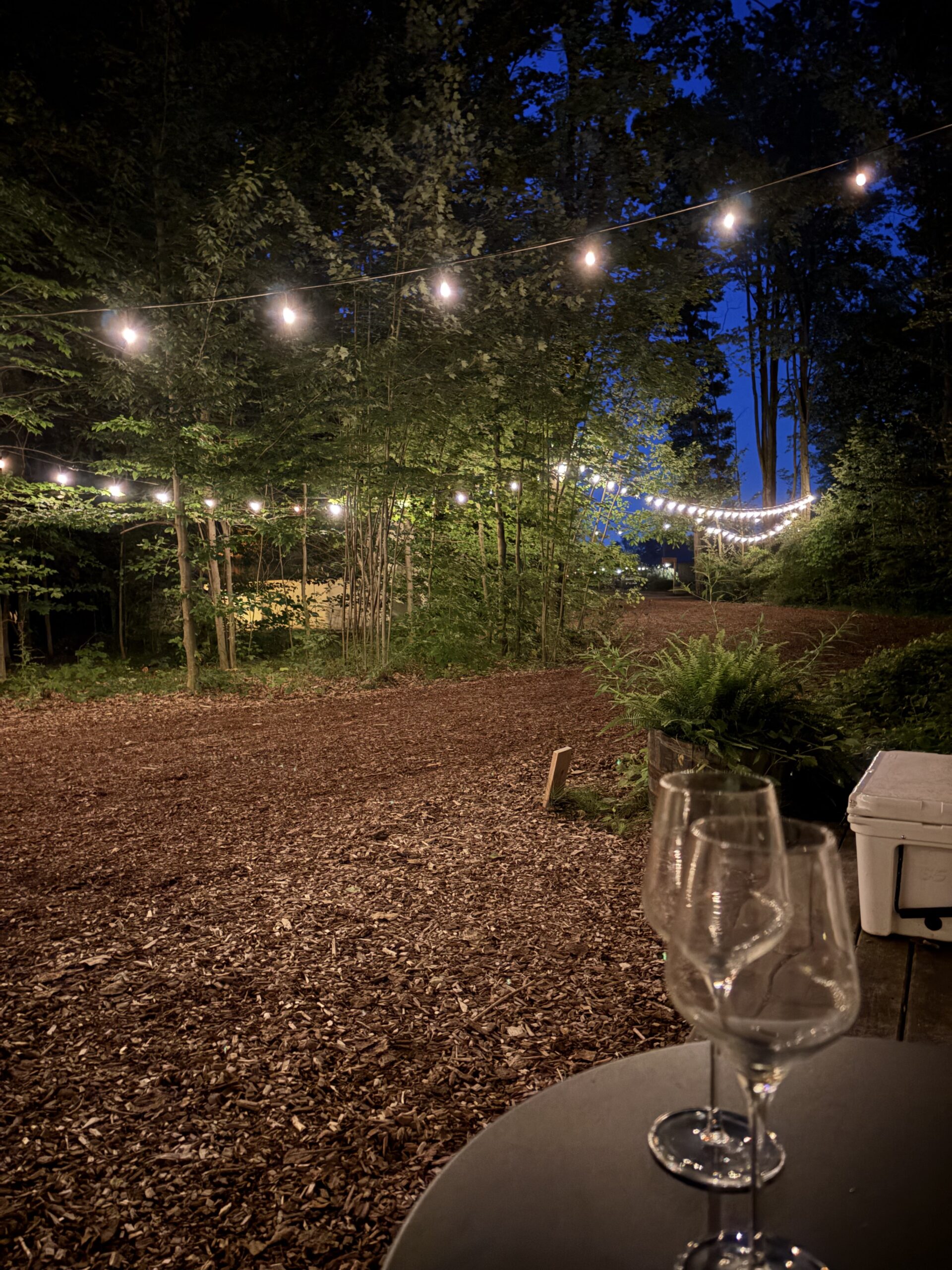 The Fields of Michigan: An Upscale, But Wholesome Glamping Stay Using Hyatt Points 27 Fields of Michigan at night