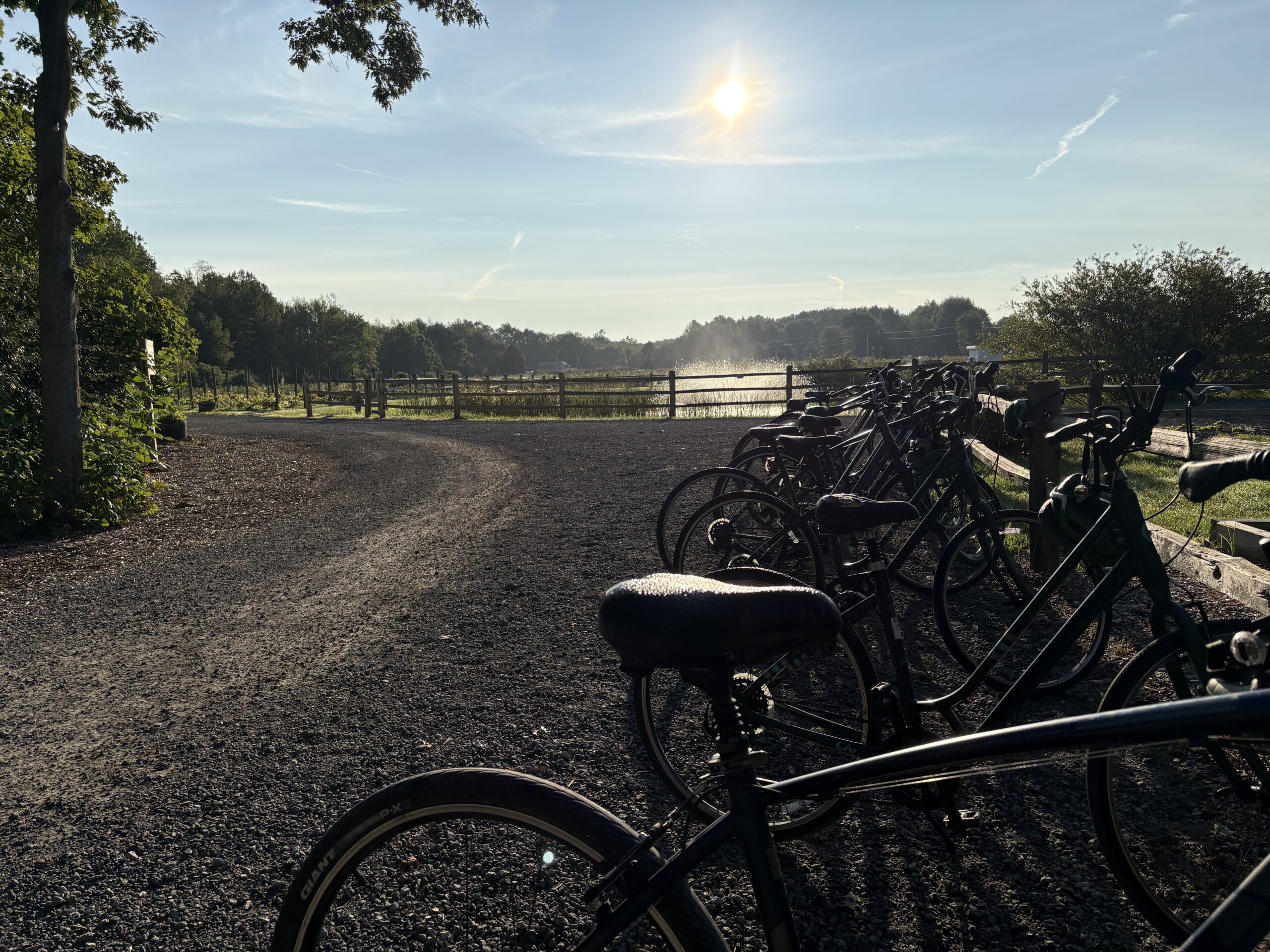 The Fields of Michigan: An Upscale, But Wholesome Glamping Stay Using Hyatt Points 21 Bikes and fountains