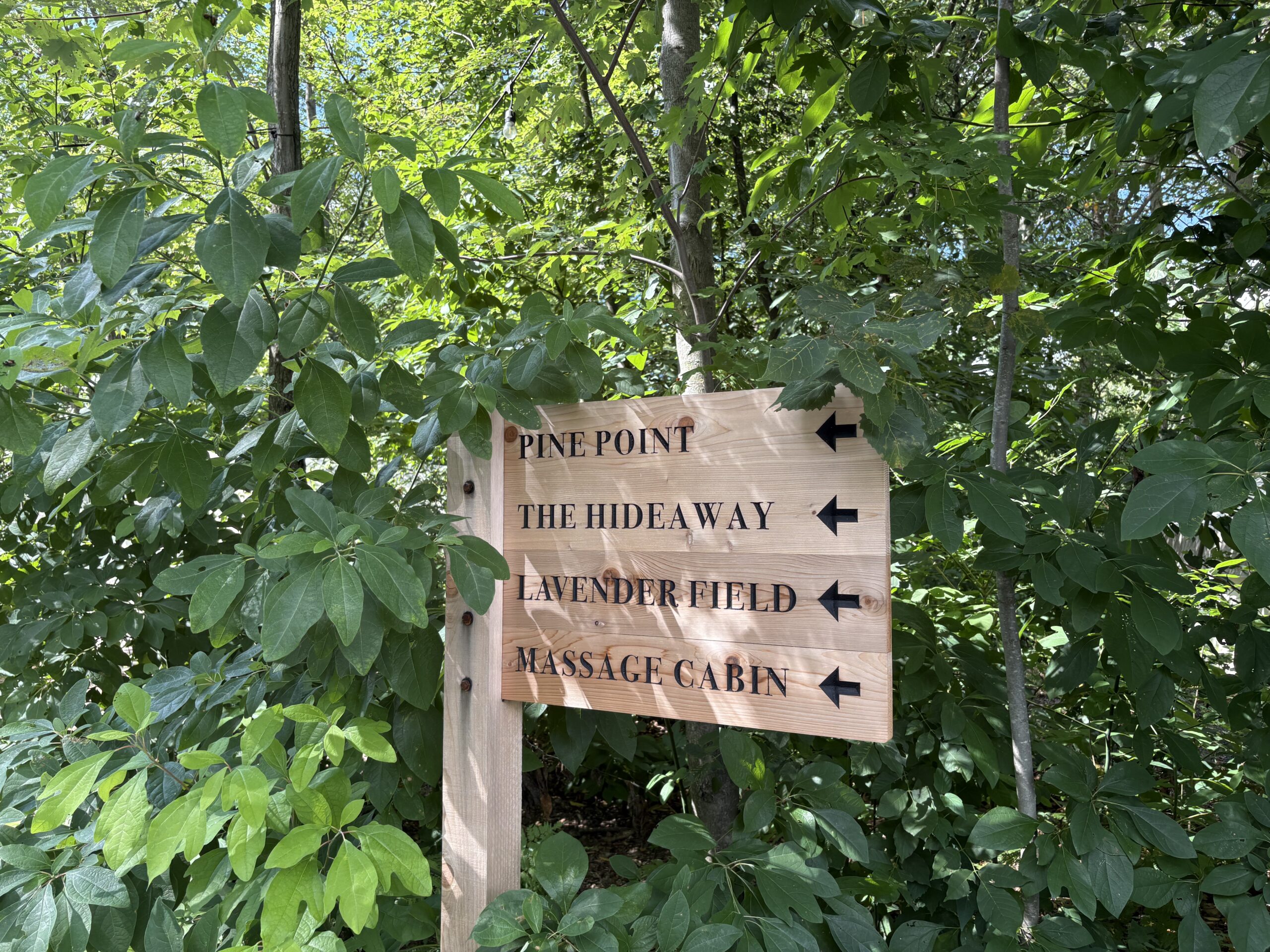 The Fields of Michigan: An Upscale, But Wholesome Glamping Stay Using Hyatt Points 22 Wayfinding signage